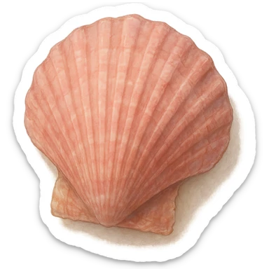 realistic pink seashell, soft painterly look, detailed and natural sticker