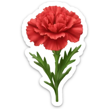 red Carnation flower sticker