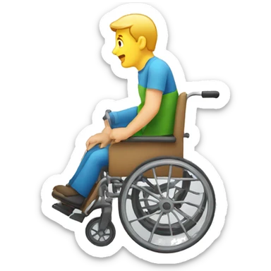 HANDICAP sticker