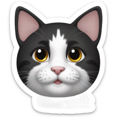 a cat with black fur and white around paws and nose sticker