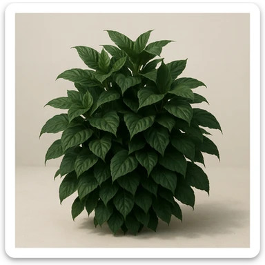 dark green organic plant with realistic foliage, layered leaves, no visible soil, subtle shadow sticker