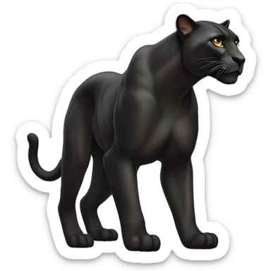 panther animal, full body, threating, right side picture sticker