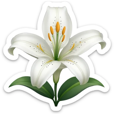 Night flower (lily) sticker