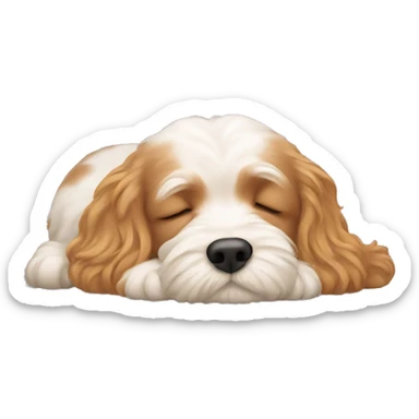 cavapoo sleeping  sticker