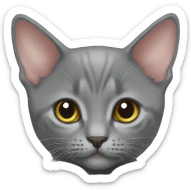 Korat kitten in bow tie sticker