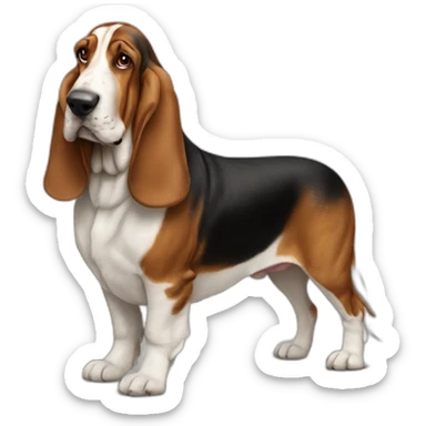 Dog-basset-hound-full-height sticker
