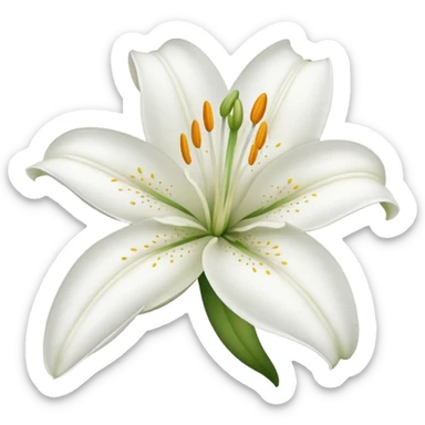 lily flower  sticker