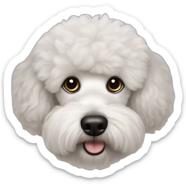 Poodle and Bichon Frise mix black sticker