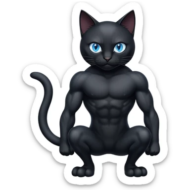 black Cats with blue eyes body sticker