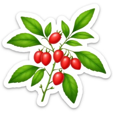 Gojiberry plant  sticker