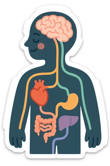silhouette of a person with colorful lines connecting the brain and various organs, symbolizing the connection between mind and body, pastel toon style, clear contours, soft shadows and highlights, transparent background, white outline sticker
