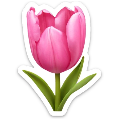 Pink tulips with a bow sticker