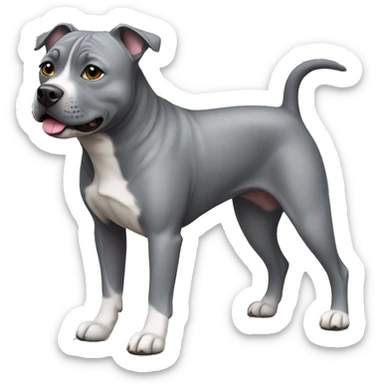 Full body grey staffy dog  sticker