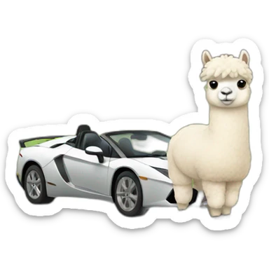 Alpaca in sportcar  sticker