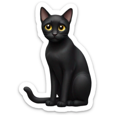 Black cat  sticker