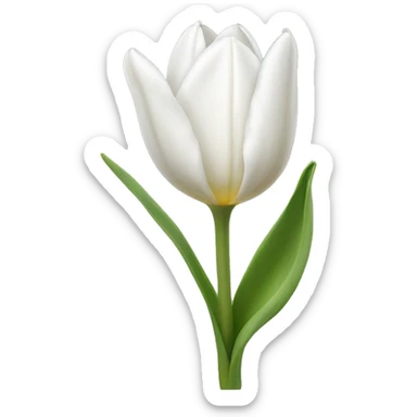 White tulip’s  sticker
