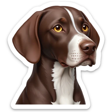 Cinematic Noble German Pointer Portrait Emoji, Poised and regal, with a lean, athletic build and a sleek, short coat in liver and white, deep-set soulful brown eyes, Simplified yet sharp and sophisticated features, highly detailed, glowing with a soft, dignified glow, high shine, intelligent and driven, stylized with an air of determination, focused and attentive, soft glowing outline, capturing the essence of a watchful and commanding hunter, so majestic it feels as though it could sprint out of the screen with effortless authority! sticker