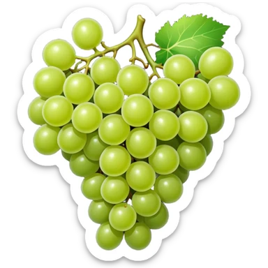 Fruit anggur sticker