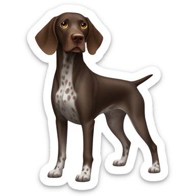 German Shorthaired Pointer Dog Breed Full Body brown fa sticker