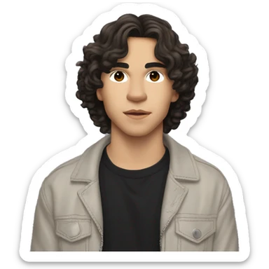 Conan Gray is an American singer-songwriter and former YouTuber.  dark hair, long short rockstar light skin . skinny sticker