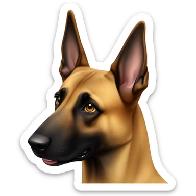 belgian malinois with sungalasses sticker