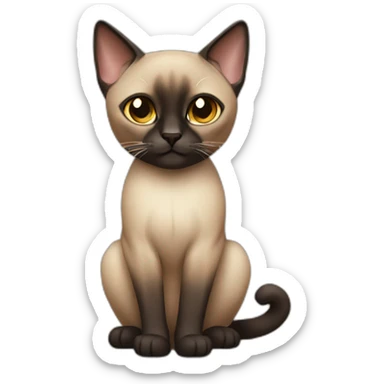 big darker siamese cat with full rounded head sticker
