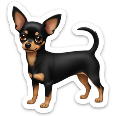Chienne noire chihuahua yorkshire pinscher sticker