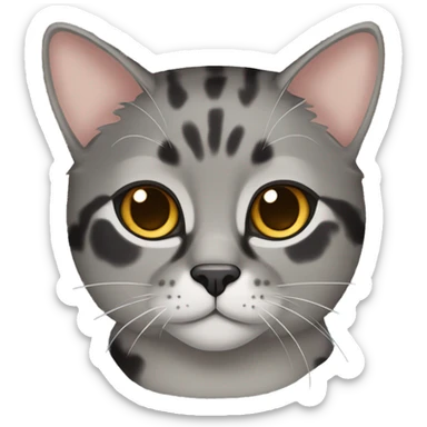 Gray tortoiseshell cat sticker