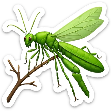Leaf Insect sticker