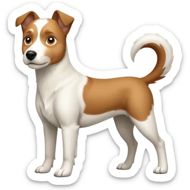 a full body large white parson russell looking dog the size of a kelpie with light brown flapped down ears and a light brown patch on one eye and a large snout sticker