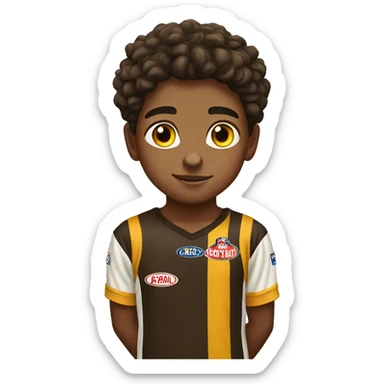  boy in Hawthorn afl jumper   sticker