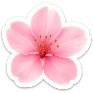 pink cherry blossom with a gradient glow, no background sticker