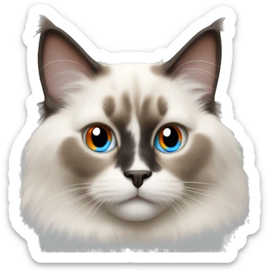 Ragdoll cat with blue eyes and orange ears  sticker