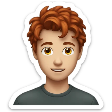 A young man, 15 years old, with a dark red hair sticker