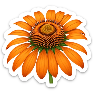 Amazing. What about orange echinacea? sticker