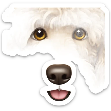 Labradoodle  sticker