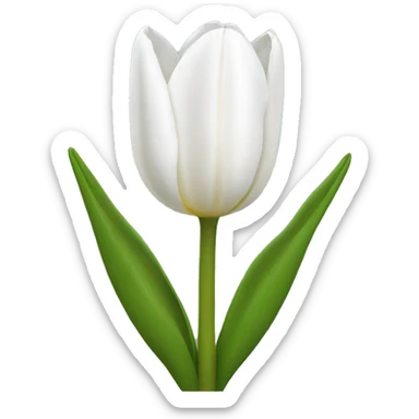 White tulip sticker