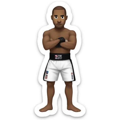 mixed martial arts sticker