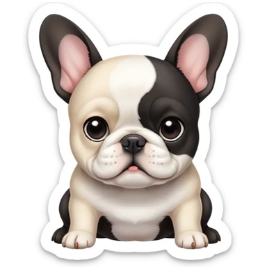 Little French bulldog. Mostly black with a little white on face and stomach sticker