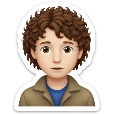 boy,  brown hair, curly hair, brown eyes, pale skin, , hair sticker