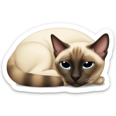 siamese cat laying down sleeping sticker