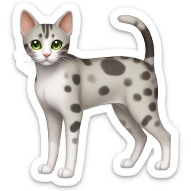 Short-haired oriental cat ,full body , grey coat with spots , green eyes , terracotta nuzzle sticker