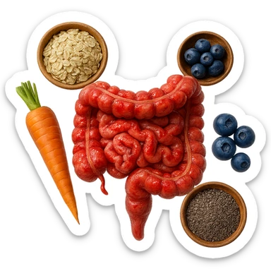 intestino umano anatomico infiammato al centro con carota, bowl di avena, mirtilli, bowl di semi di chia che gli fluttuano intorno , iperrealistico 4k sticker