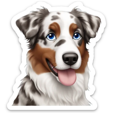 Red Merle Australian shepherd with blue eyes  sticker