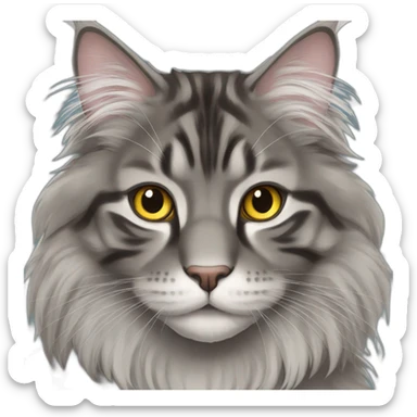 Grey maine-coon sticker