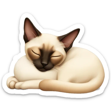 siamese cat sleeping  sticker