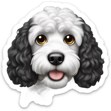 Black and white cockapoo dog  sticker