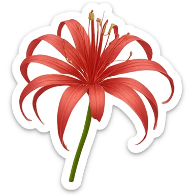 Red spider lily sticker