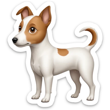 a fully white jack russell the size of a kelpie with light brown ears and a light brown patch on one eye sticker