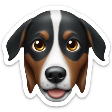 perrita salchicha arlequín negro con blanco y tiene el ojo derecho azul y el izquierdo marrón  sticker